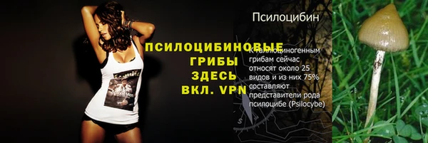 MESCALINE Кинешма