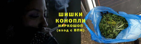 молекула духа Уссурийск
