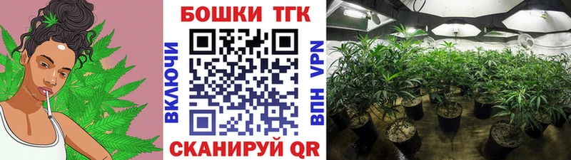 цена   Ленск  Бошки Шишки план 